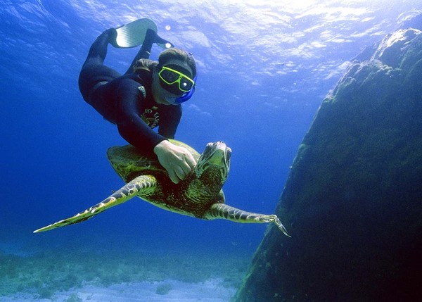 Tham quan thiên đường Fernando de Noronha, Brazil 